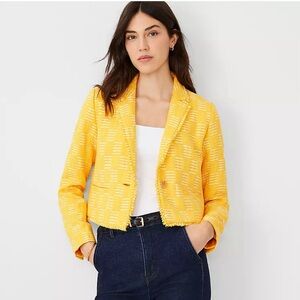 Ann Taylor Metallic Tweed Blazer